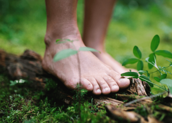 Grounding Walking Exercises: A Comprehensive Guide to Connecting with Earth Energy