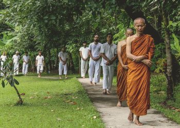 Beginner’s Guide to Walking Meditation