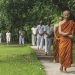 Beginner’s Guide to Walking Meditation