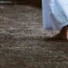 Walking Meditation Benefits: A Comprehensive Guide