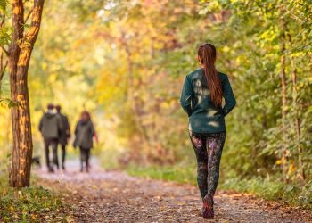 Mindful Walking Practice: A Path to Presence in Motion